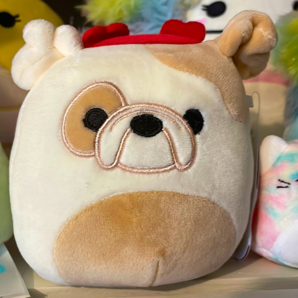 Brock valentines Squishmallow